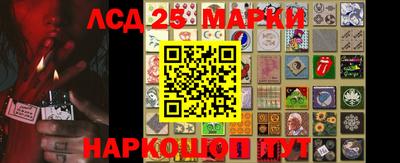 apvp Тверь