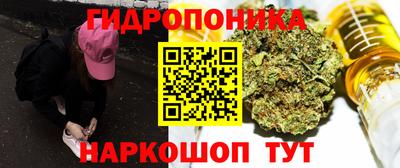 apvp Тверь