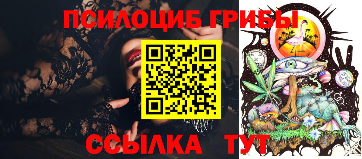 Галлюциногенные грибы Psilocybine cubensis Азов