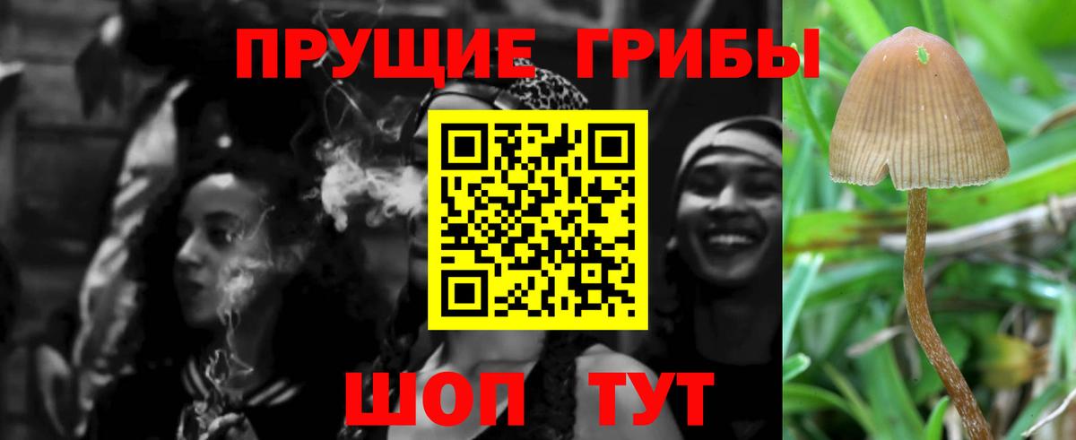 Азов  Галлюциногенные грибы Cubensis  Вход с VPN  Псилоцибиновые грибы мухоморы 